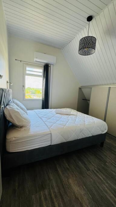 T2 Le Cosy, Au Coeur De Montjoly, Parking, Clim Lejlighed Remire-Montjoly Eksteriør billede